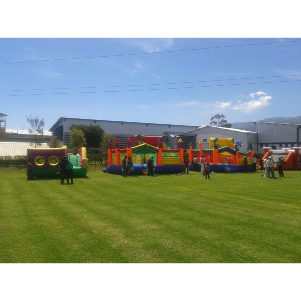 JUEGOS INFLABLES PARA FIESTAS Y PARQUES